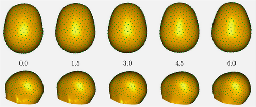 Changes in early head shape with log(age).