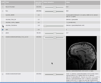 RSE browsing through the results of a parameter exploration experiment