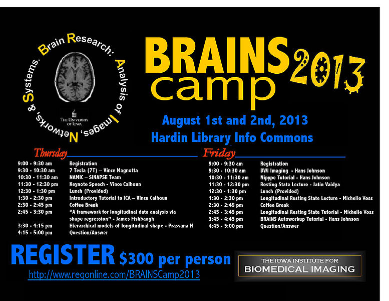 File:BRAINS Camp 2013.jpeg