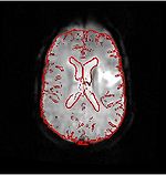 Igt poster fig1c.jpg