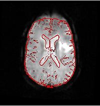 Igt poster fig1c.jpg